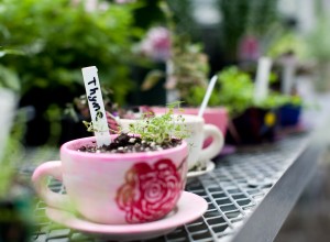 Grafton-Berryville-202